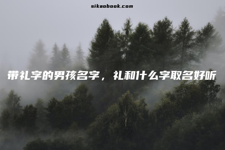 带礼字的男孩名字，礼和什么字取名好听