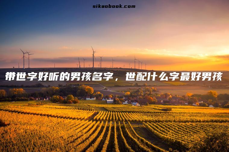 带世字好听的男孩名字，世配什么字最好男孩