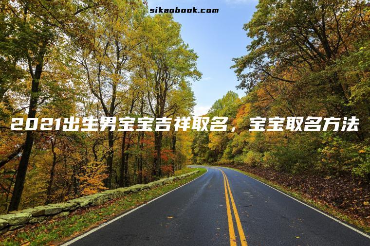 2021出生男宝宝吉祥取名，宝宝取名方法