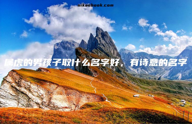 属虎的男孩子取什么名字好，有诗意的名字