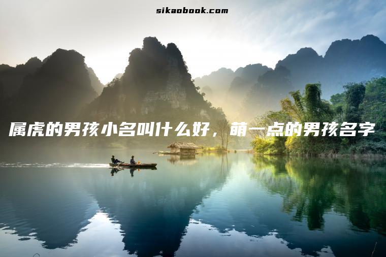属虎的男孩小名叫什么好，萌一点的男孩名字
