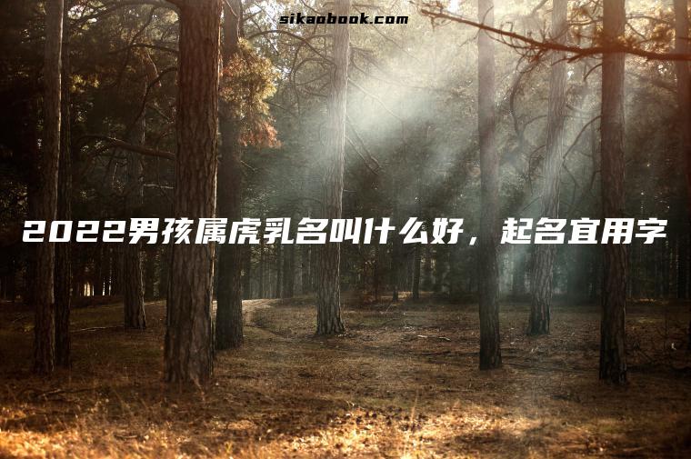 2022男孩属虎乳名叫什么好，起名宜用字