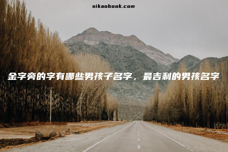 金字旁的字有哪些男孩子名字，最吉利的男孩名字