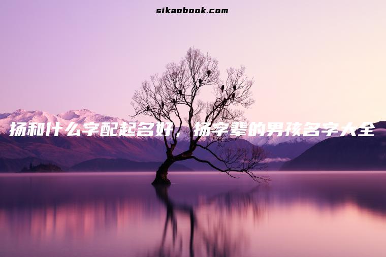 扬和什么字配起名好，扬字辈的男孩名字大全