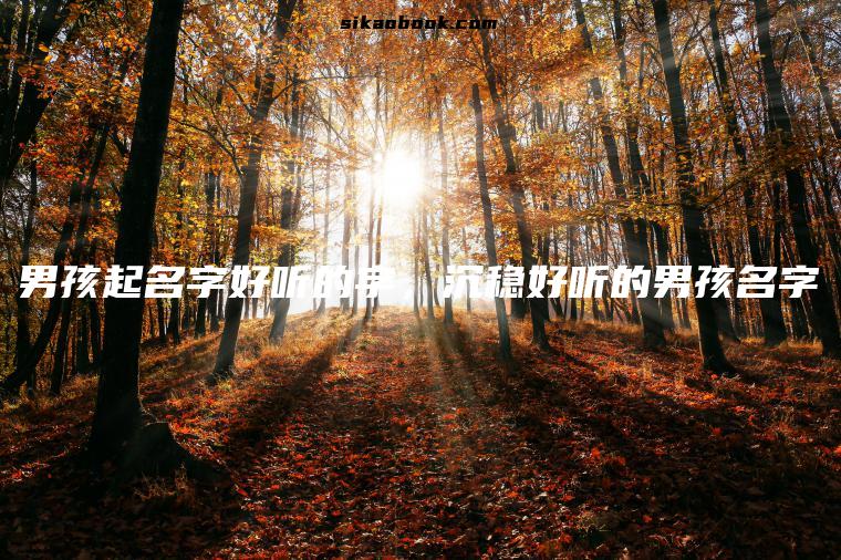 男孩起名字好听的字，沉稳好听的男孩名字