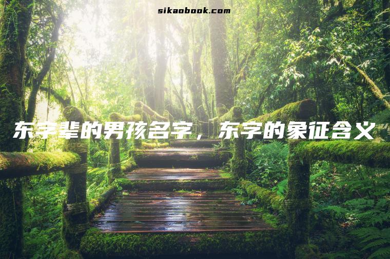 东字辈的男孩名字，东字的象征含义