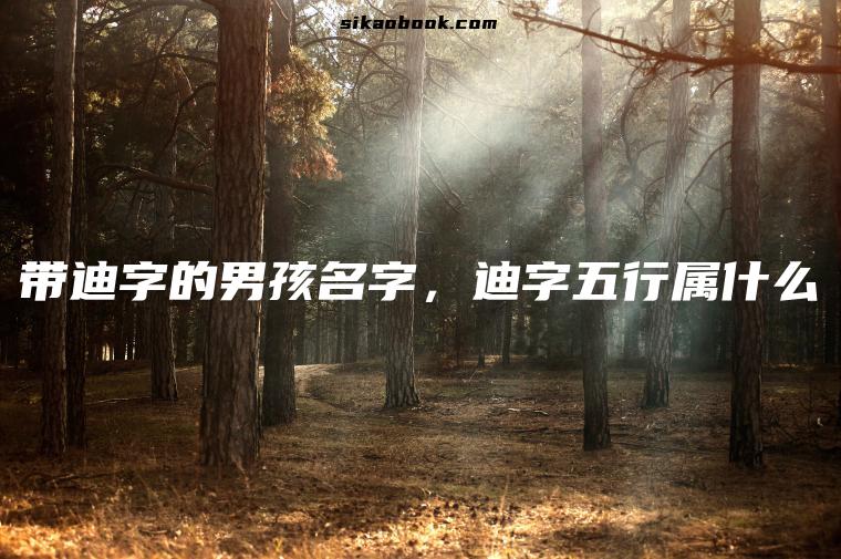 带迪字的男孩名字，迪字五行属什么