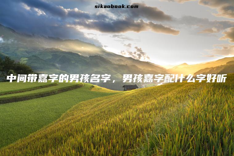 中间带嘉字的男孩名字，男孩嘉字配什么字好听