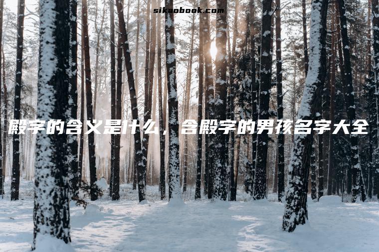 殿字的含义是什么，含殿字的男孩名字大全