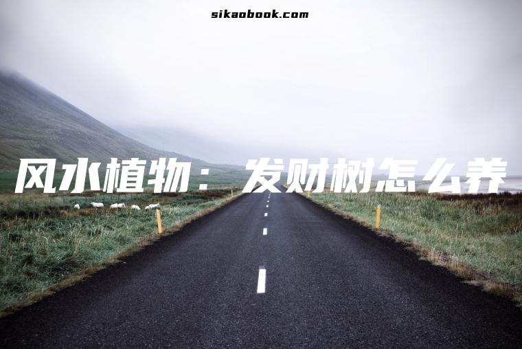 风水植物：发财树怎么养