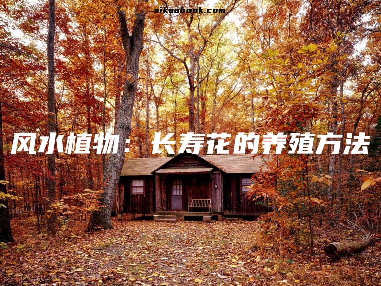 风水植物：长寿花的养殖方法