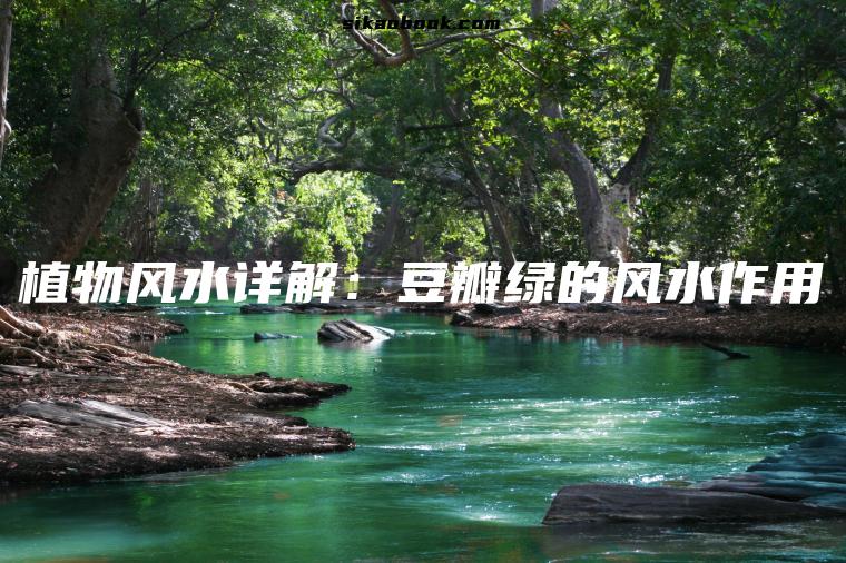 植物风水详解：豆瓣绿的风水作用
