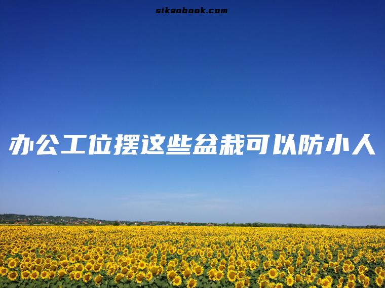 办公工位摆这些盆栽可以防小人