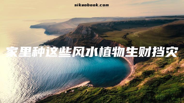 家里种这些风水植物生财挡灾