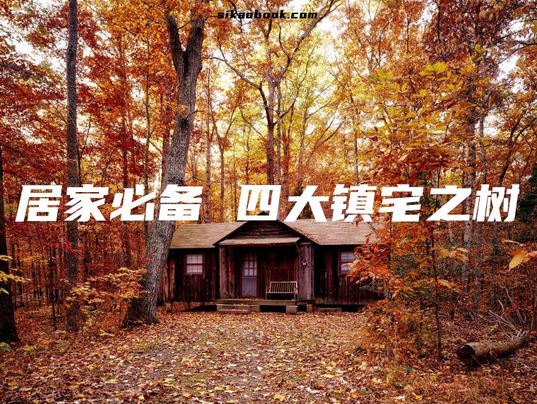 居家必备 四大镇宅之树