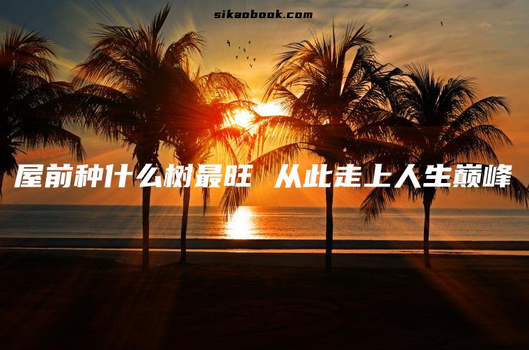 屋前种什么树最旺 从此走上人生巅峰
