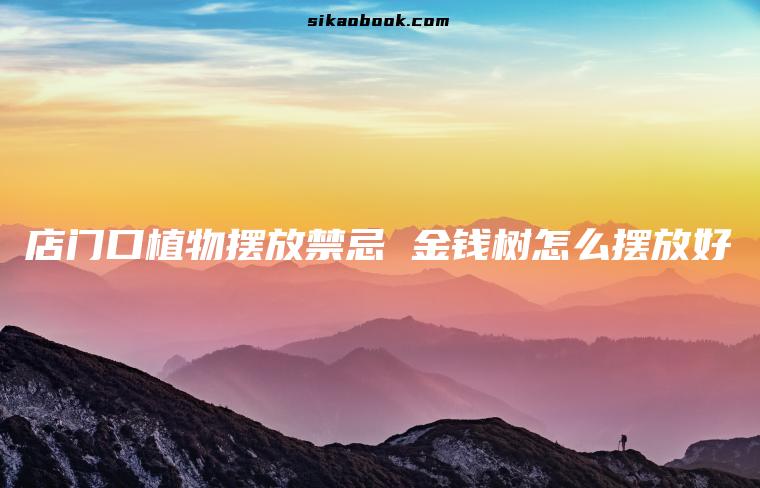 店门口植物摆放禁忌 金钱树怎么摆放好