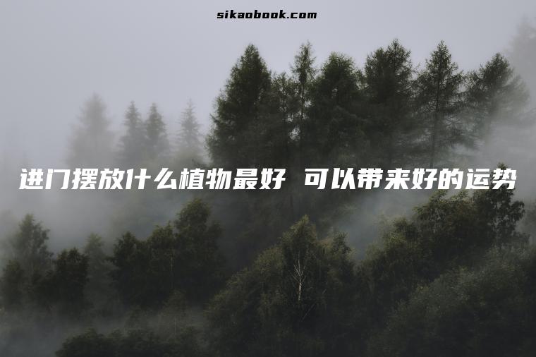 进门摆放什么植物最好 可以带来好的运势