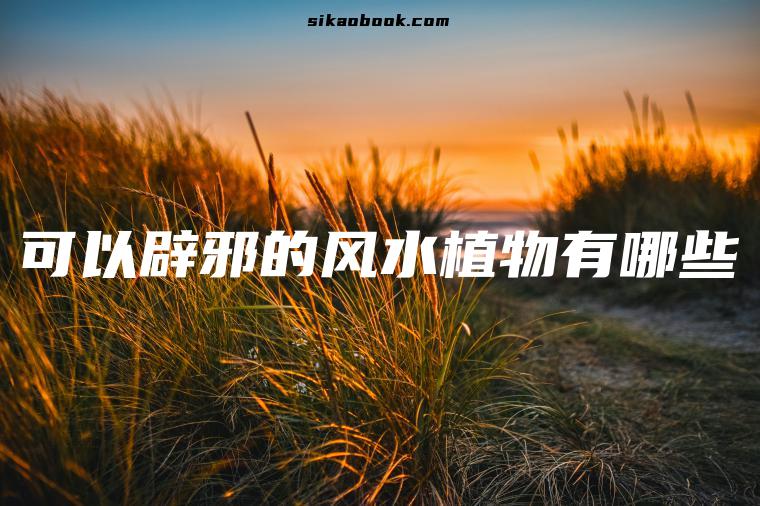 可以辟邪的风水植物有哪些